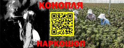 трава Абакан