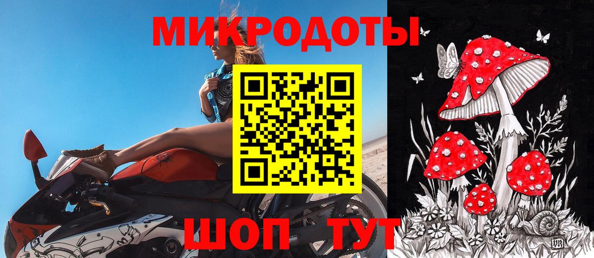 Россия  Псилоцибиновые грибы Psilocybine cubensis  Вход с VPN 